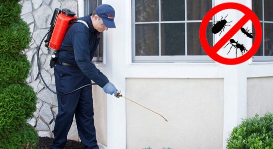 Hanak Pire İlaçlama böcek ilaçlama ve haşere kontrolü — ilaclama-tr.com